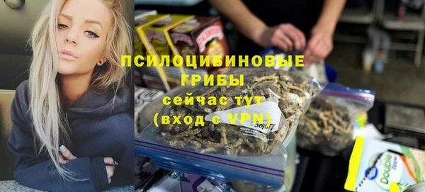 mix Гусь-Хрустальный