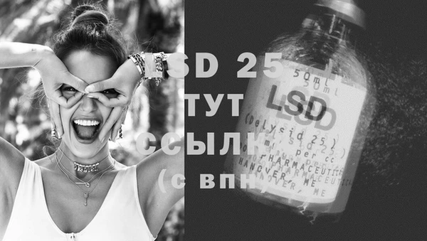 mix Гусь-Хрустальный