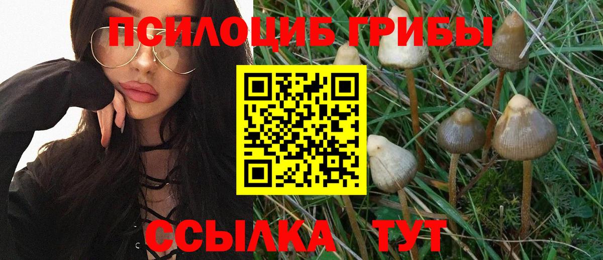 Галлюциногенные грибы Cubensis Брянск