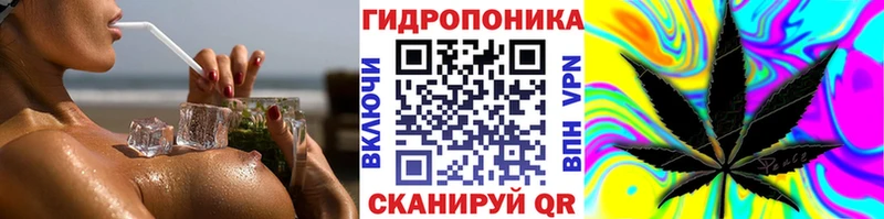 Бошки марихуана конопля  Брянск 